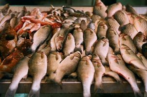 1,5 тонны контрафактных морепродуктов обнаружены в нелегальном цеху Ижевска