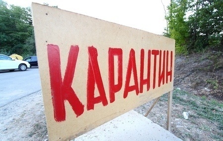 В деревнях Сарапульского района установлен карантин по бешенству