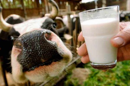 Удмуртия  увеличит производства мяса и молока после введения санкций