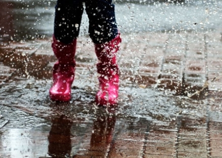 Всю неделю в Удмуртии будет прохладно: возможен моросящий дождь 