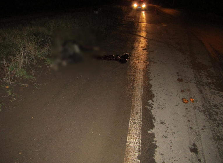 В Малопургинском районе водитель Ниссана насмерть сбил пешехода