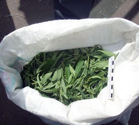 Полтора килограмма марихуаны нашли у жителя Сарапульского района