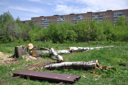 Неподалеку от Дворца Пионеров в Ижевске продолжают вырубать деревья 