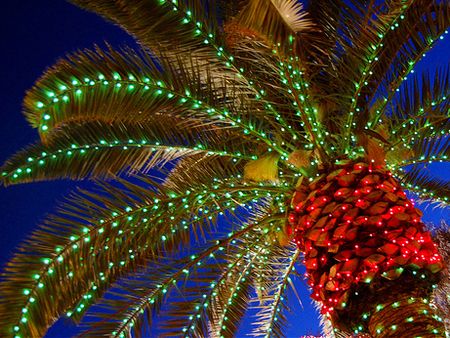 Новогодние пальмы установят в Воткинске