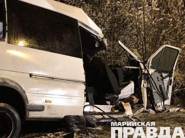 В Марий Эл 15 человек погибли при столкновении микроавтобуса и лесовоза