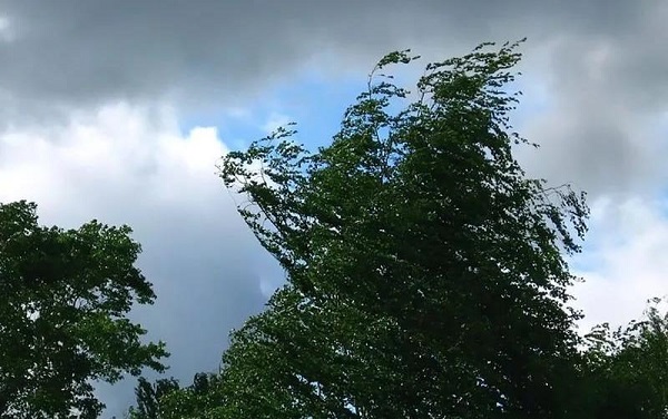 Власти Ижевска предупреждают о сильном ветре в среду, 30 мая