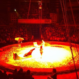  VII Международный фестиваль циркового искусства стартовал в Ижевске