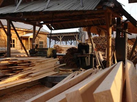Деревообрабатывающее предприятие Увинского района частично закрыли из-за санитарных нарушений 