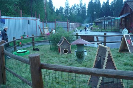 Площадка со свободным доступом к животным  впервые откроется в зоопарке Ижевска 