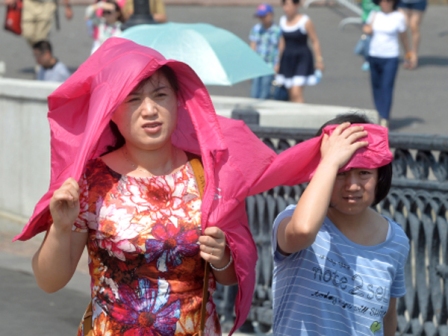 Более 730 жителей Японии попали в больницу из-за аномальной жары
