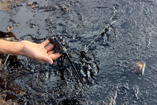 В Удмуртии выясняют, какой вред причинен очередным разливом нефти в Каракулинском районе