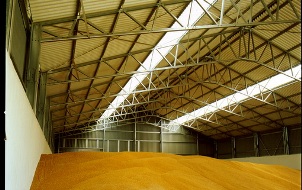 Удмуртия начнет продавать зерно  из интервенционного фонда