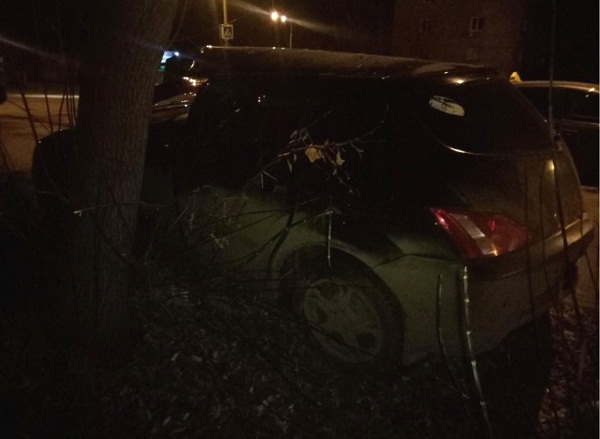В Глазове водитель «Тойоты» протаранил дерево