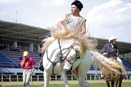  Ижевчан приглашают посетить выставку лошадей вятской породы