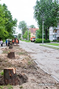 За год в Ижевске высажено 1236 деревьев и 493 кустарника