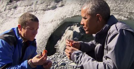 Барак Обама доел лосося за медведем на Аляске