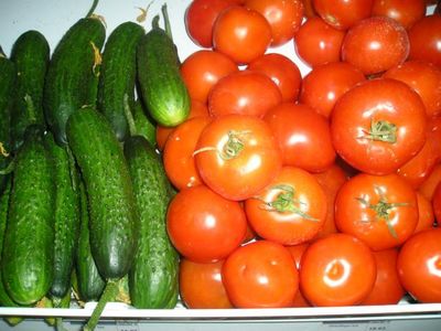 Ввоз овощей из Европы в Россию запрещен