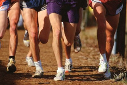 Республиканские соревнования по марафонскому бегу пройдут в Ижевске