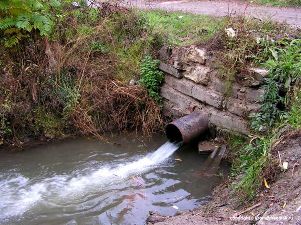 В поселке Рябово Увинского района канализация вышла из-под контроля