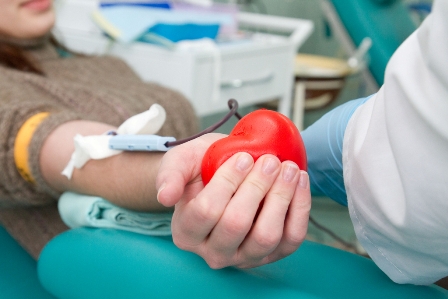 Собранной донорской крови хватит для спасения более 600 человек в Удмуртии