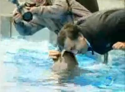 Видео: президент Грузии пытался засунуть голову в пасть дельфина