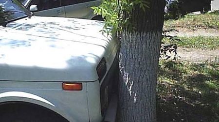 Водитель «легковушки» погиб при столкновении с деревом в Удмуртии