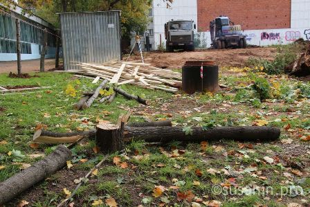 Полиция Ижевска проведет проверку по факту вырубки деревьев на бульваре Гоголя 