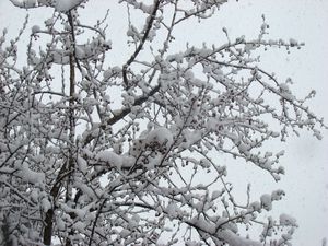 Снегопад в Ижевске: утром в Ижевске произошло 23 ДТП