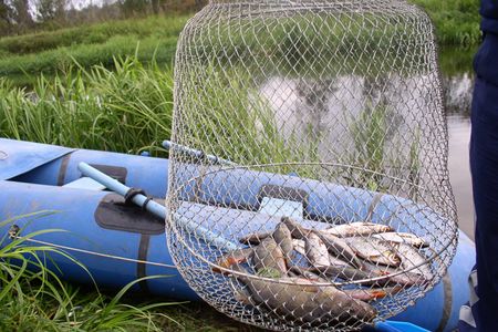 Рыбаки-браконьеры нанесли ущерб Удмуртии на 175 тысяч рублей