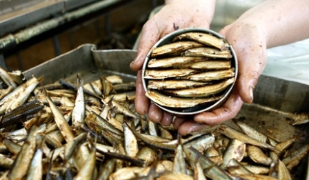 Рыбные консервы в Удмуртии продавали с нарушениями