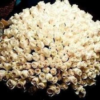 Житель Завьялово украл цветы для любимой девушки