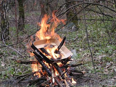 В удмуртских лесах запретили разжигать костры