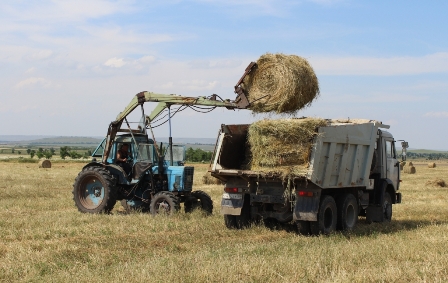 Заготовка сена и кормов продолжается в Удмуртии