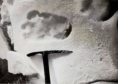 Лежбище снежного человека обнаружили ученые в Кемерово