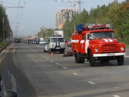 Лось атаковал автобус №19 в Ижевске