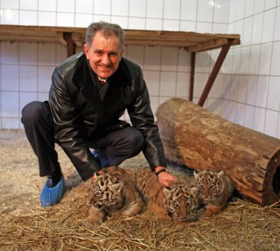 Видео: глава Удмуртии первым увидел ижевских тигрят