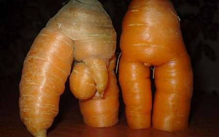 морковь_1.jpg