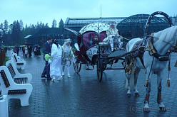 Зоопарк Ижевска стал любимым местом для свадебных катаний