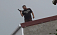 В Стамбуле бородатый мужчина стреляет с крыши дома из дробовика