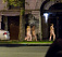 Парад голых проституток засняли очевидцы в Санкт-Петербурге