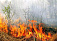38 природных пожаров произошло в Удмуртии с начала года