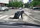 Пьяный пешеход в Ижевске попал под колеса автомобилиста