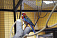 Говорящий и пестрые попугаи поселились в зоопарке Удмуртии