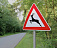 Дорожный знак «Дикие животные» установили на автодорогах Глазовского района