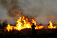 Лесной пожар потушили в Гольянах