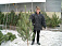 Живые новогодние елки в Удмуртии будут стоить от 120 до 18000 рублей