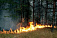  Два лесных пожара произошло с начала года в Удмуртии