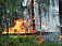 53 природных пожара произошло в Удмуртии с начала года