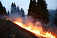 Пожарные Удмуртии спасли от огня лесной заповедник в Вавоже