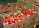 В Ижевске уничтожили более тонны яблок и томатов